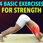 4 Basis Exercises